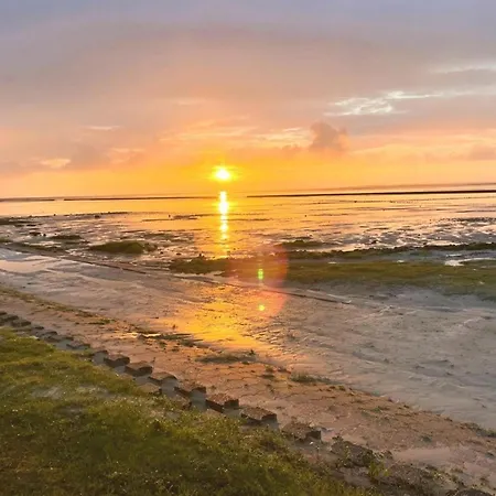 Zwergpinscher Apartment