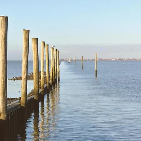 アパート Zwergpinscher