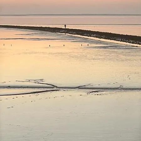 Apartment Zwergpinscher *