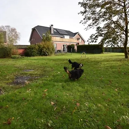 Appartement Zwergpinscher *