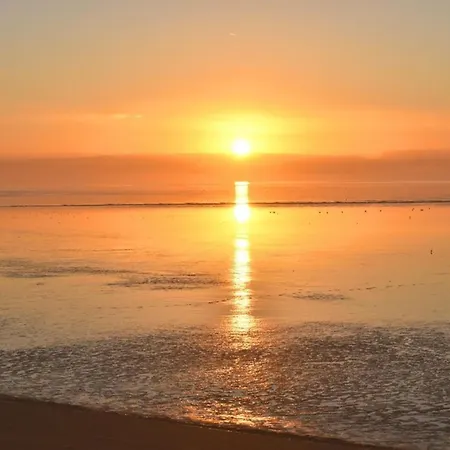 Zwergpinscher Appartement Dornum