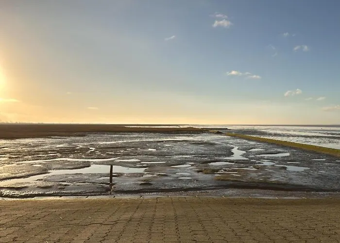 Zwergpinscher Appartement Dornum