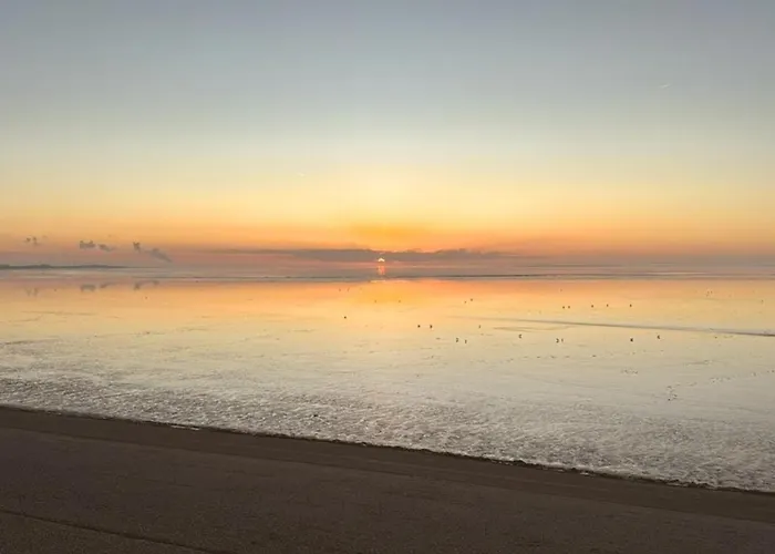 Zwergpinscher Appartement Dornum