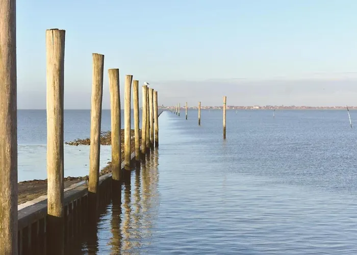 Appartement Zwergpinscher