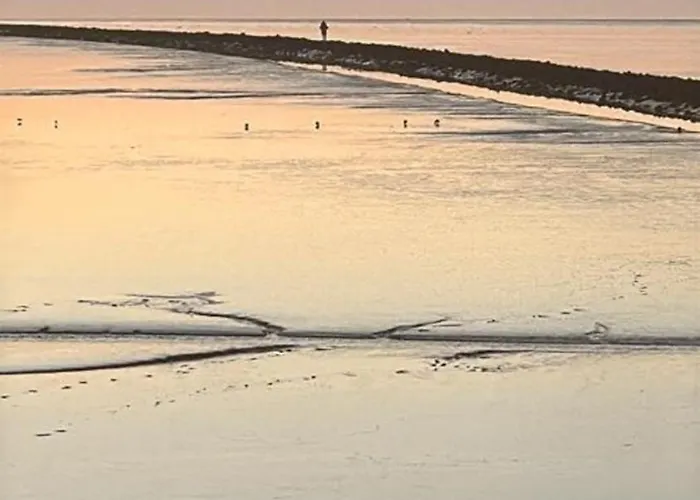 Appartement Zwergpinscher *