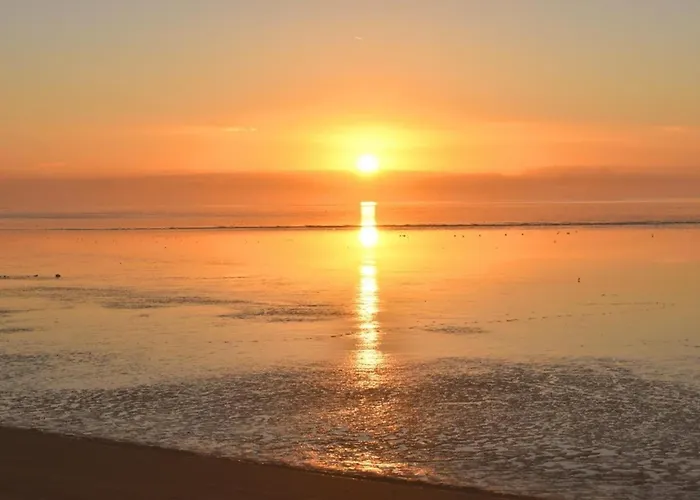 Zwergpinscher Appartement Dornum