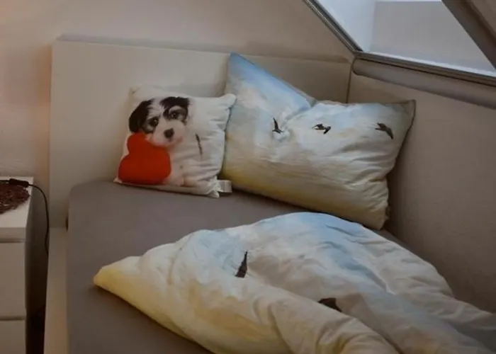 Appartement Zwergpinscher