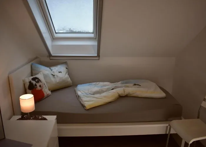 Zwergpinscher Dornum