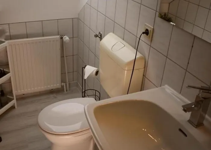 Zwergpinscher Appartement