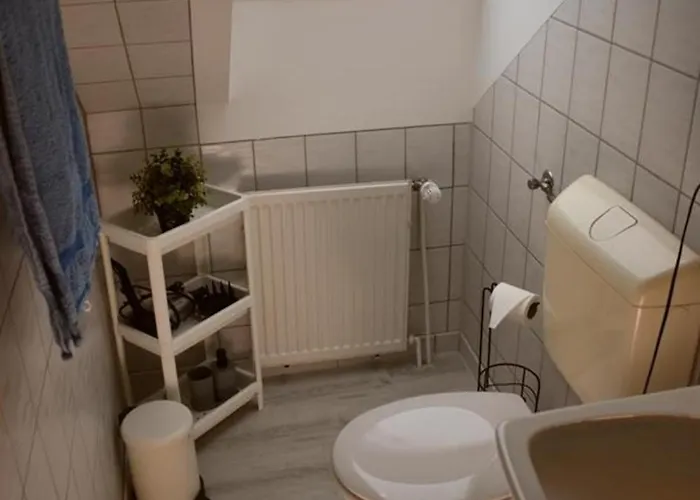 Zwergpinscher * Dornum